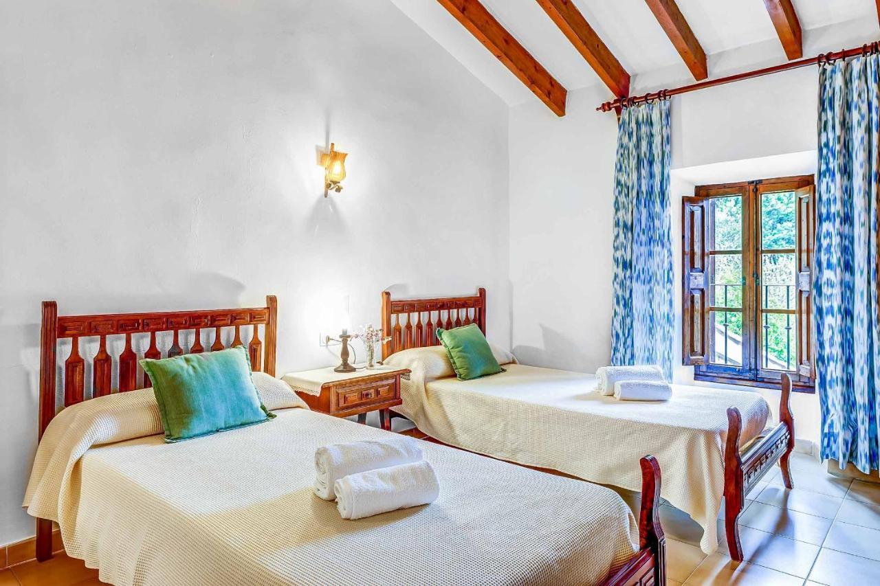 Oliva Villa Pollença